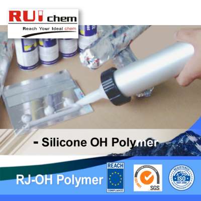 OH Polymer RJ-107 70131-67-8 silicone elastomer